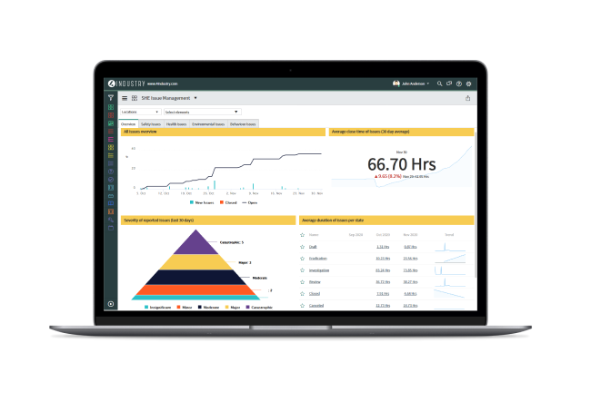 Dashboard - Heinrich Safety Pyramid